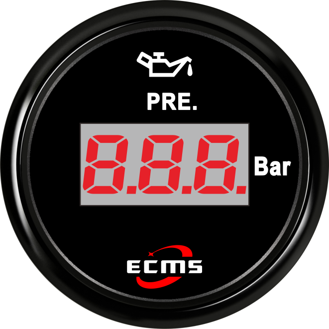 ECP/ECP2-数显压力表